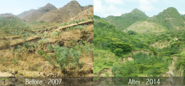 Eden Rainforest Project vorher nachher