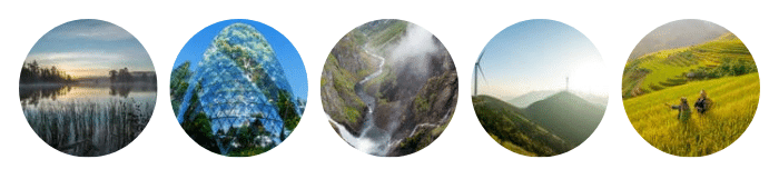 Freya Savings Sinnprofile