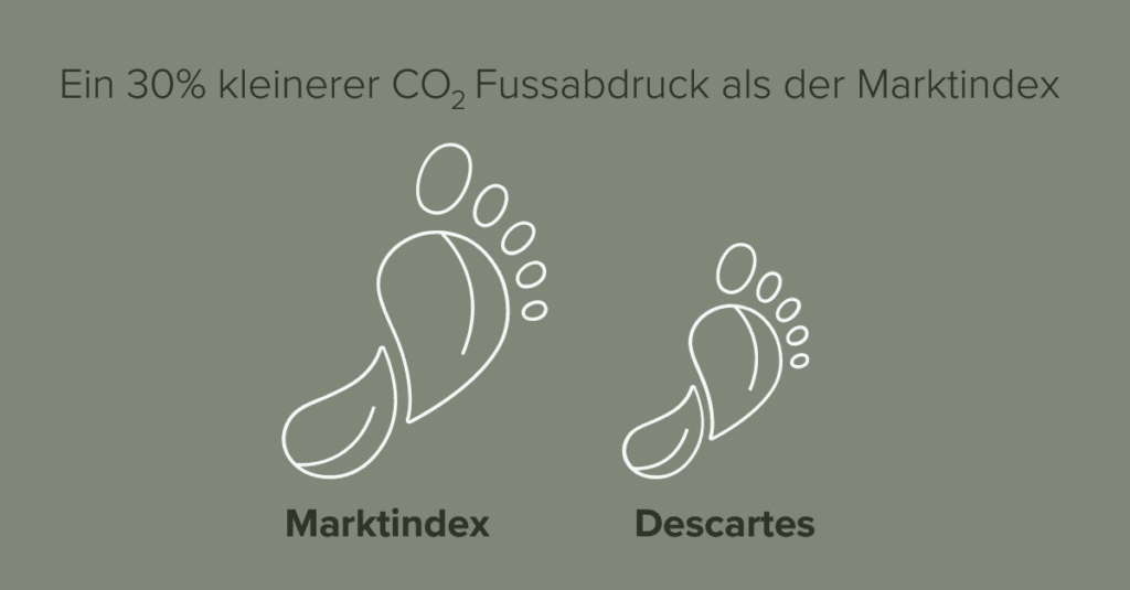 Descartes Nachhaltigkeit