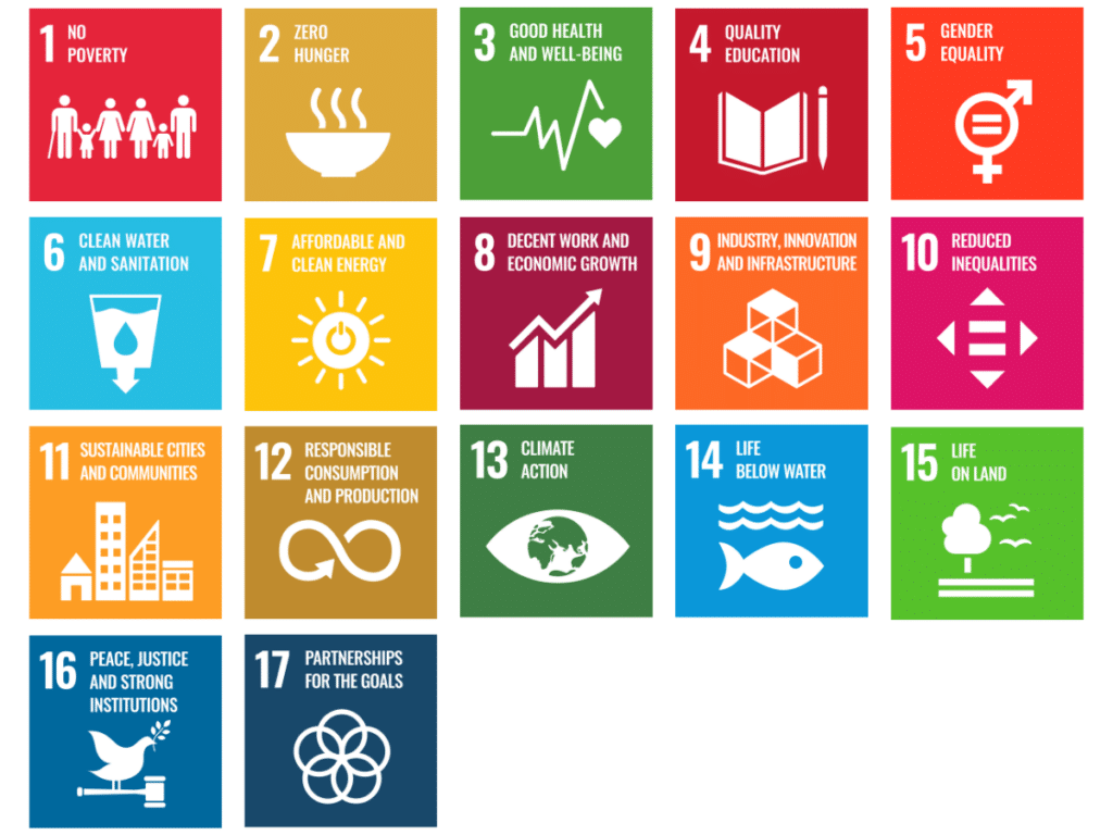 radicant - Die 17 UN-Ziele für nachhaltige Entwicklung (SDGs)